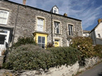 Samphire in Port Isaac, Cornwall, South West England