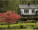 Tulip Cottage in Kendal, Cumbria, North West England