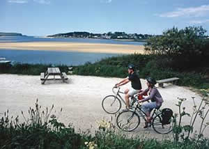Self catering breaks at Ruthern Lodge 5 at Ruthern Valley Holidays in Ruthernbridge, Cornwall Self catering breaks at Ruthern Lodge 5 at Ruthern Valley Holidays in Ruthernbridge, Cornwall