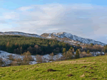 Riechip in Dunkeld, Perthshire, Central Scotland