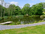 The Maples in Narberth, Pembrokeshire, South Wales