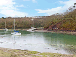 Curlew in Milford Haven, Pembrokeshire, South Wales