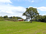 Cedar Log Cabin- Brynallt Country Park in Welsh Frankton, Shropshire, West England