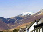 Westies in Keswick, Cumbria, North West England